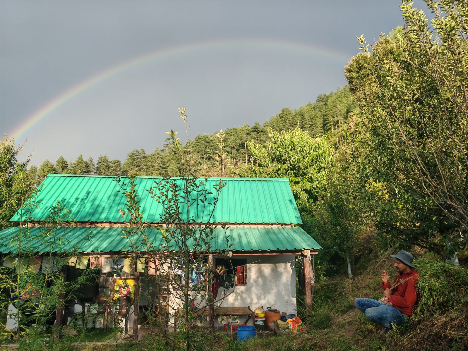 From the orchard, under the cedars